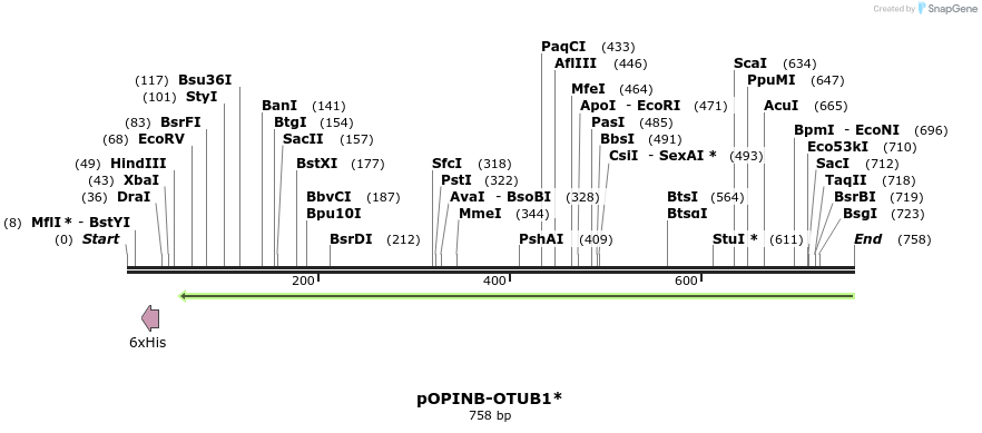118781_map