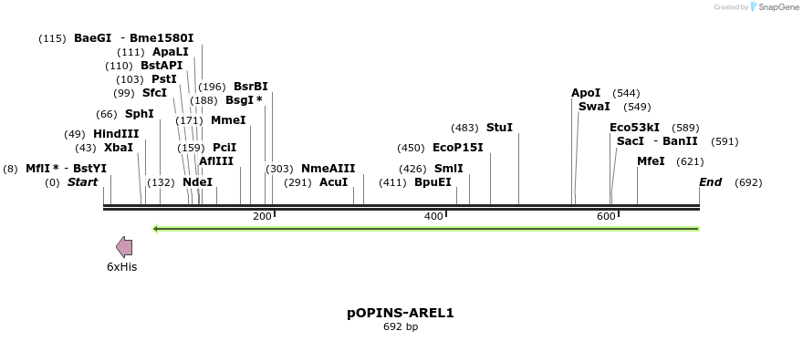 118782_map