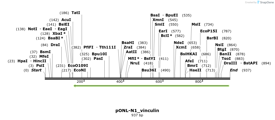 118784_map