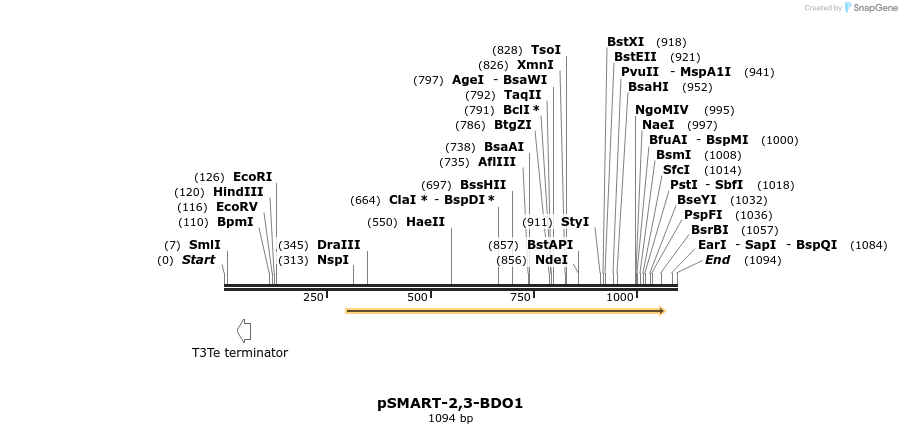 118787_map