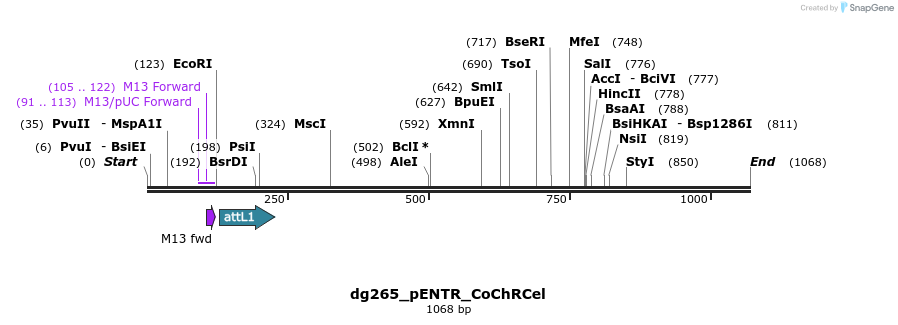 118793_map