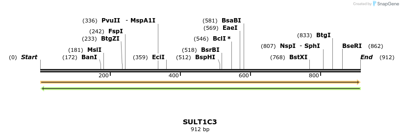 11880_map