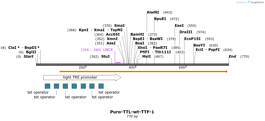 118802_map