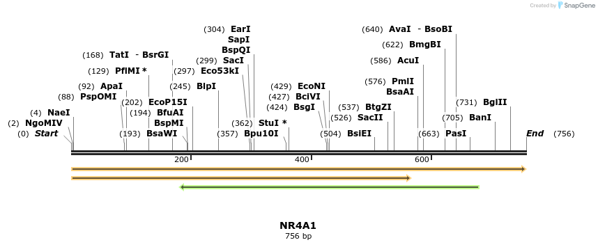 11881_map