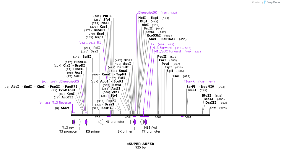118813_map