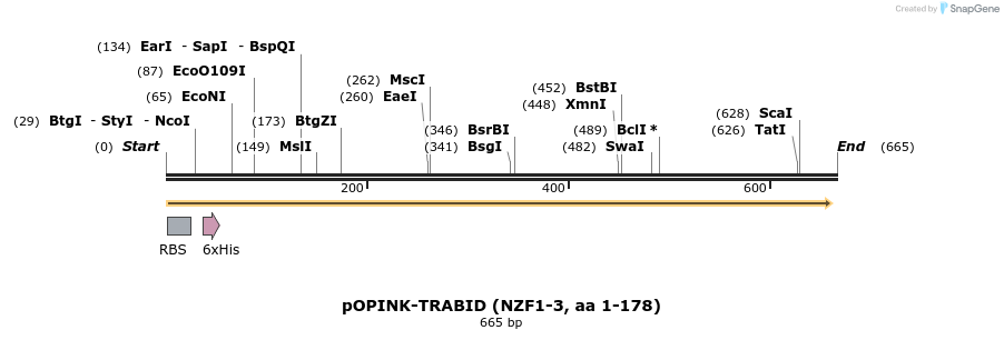 118817_map