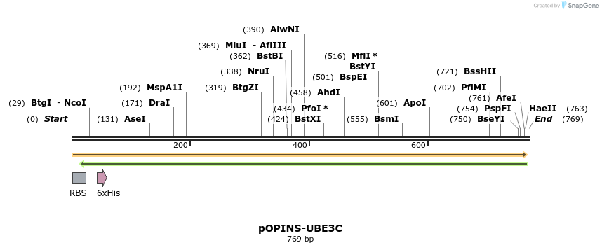 118818_map