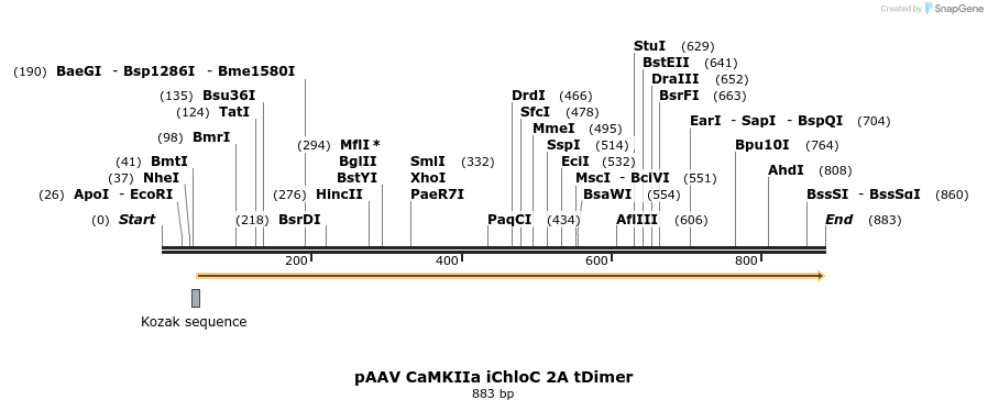 118820_map