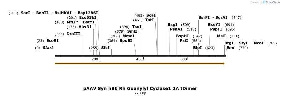 118822_map