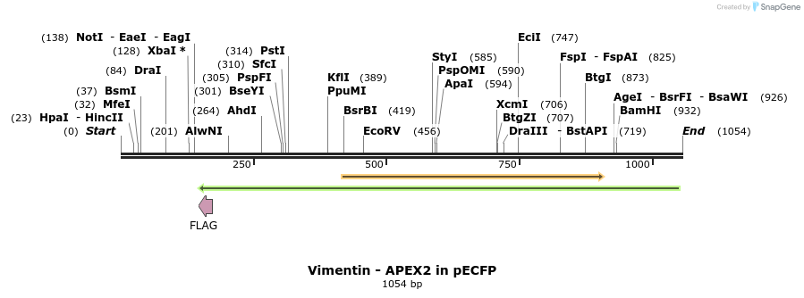 118834_map