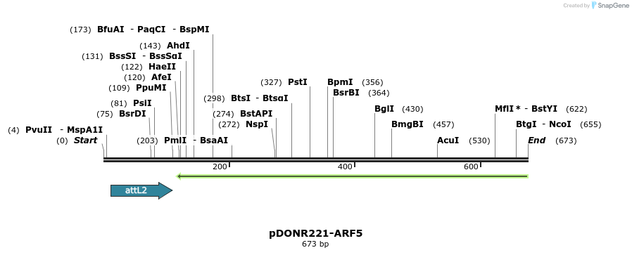 118835_map