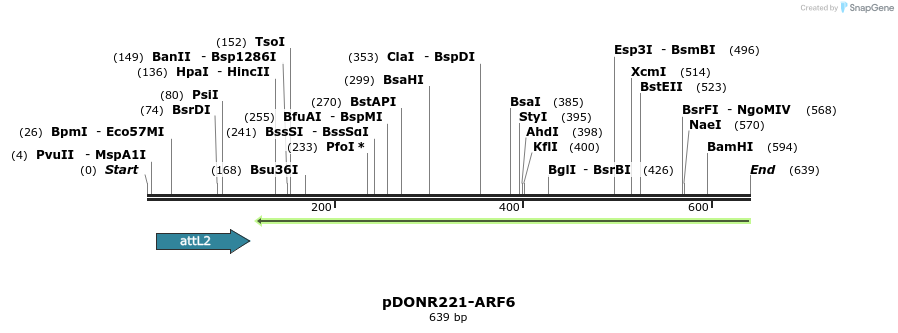 118837_map