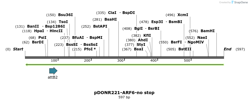 118838_map