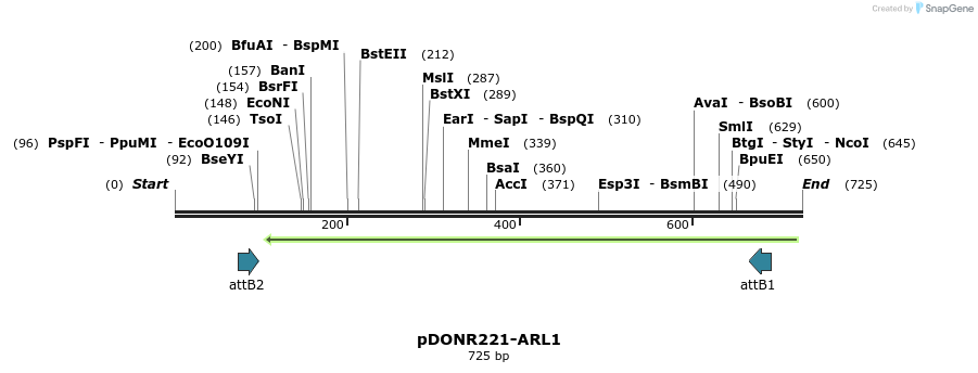 118839_map