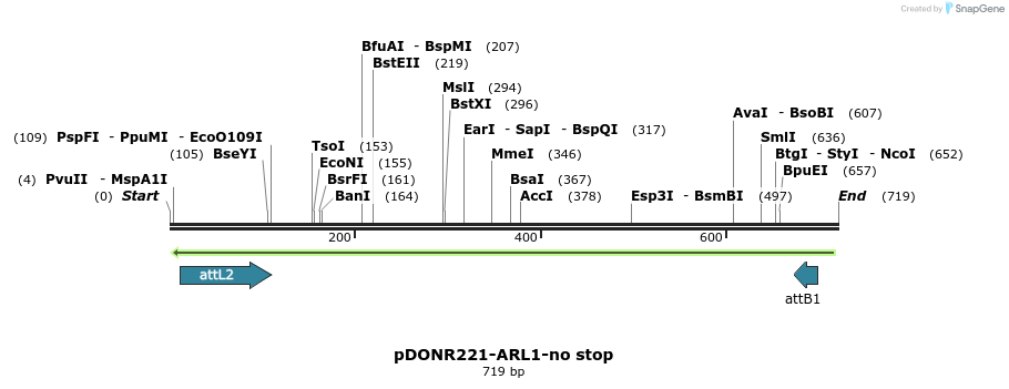 118840_map