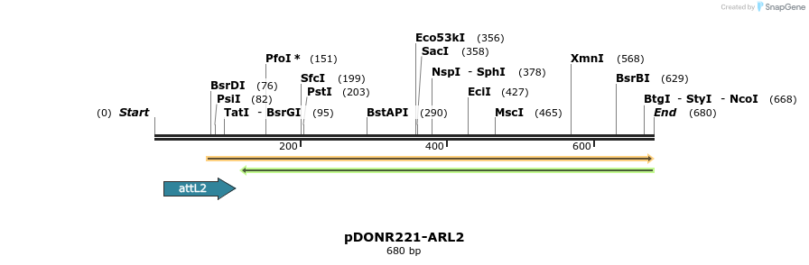 118841_map