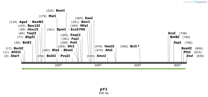 118842_map
