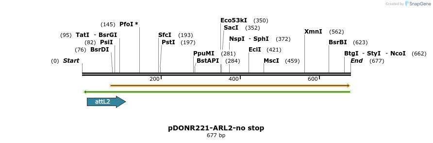 118844_map