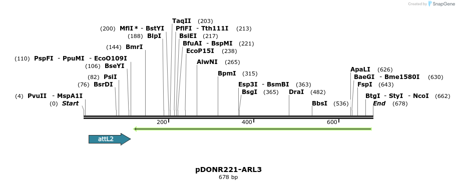 118845_map