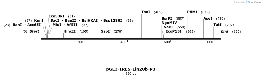 118846_map