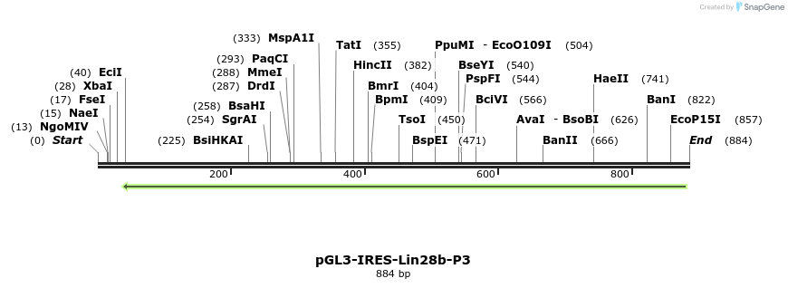 118847_map