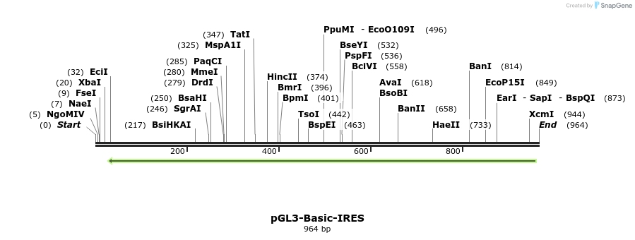 118848_map