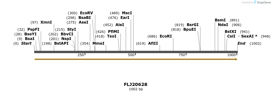 11885_map