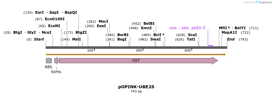 118854_map