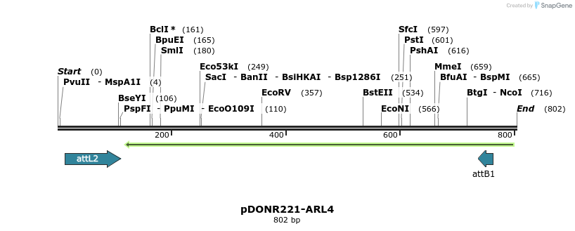 118855_map