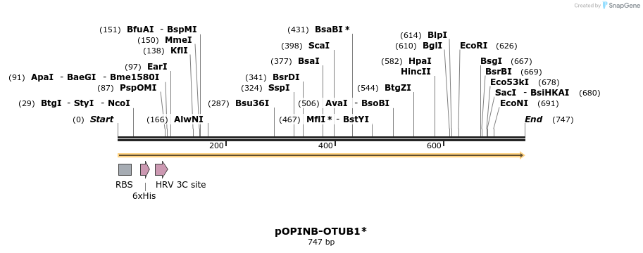 118856_map