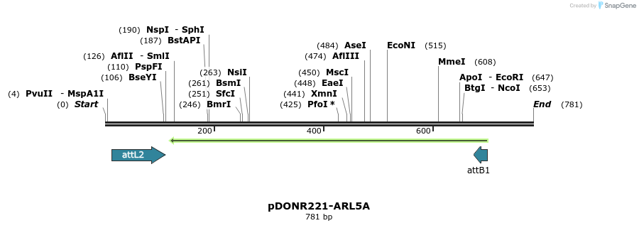 118858_map