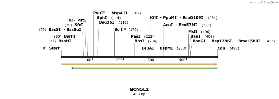 11886_map