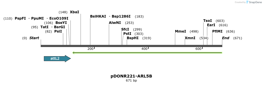 118861_map