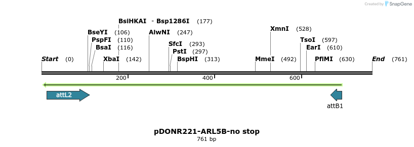 118862_map