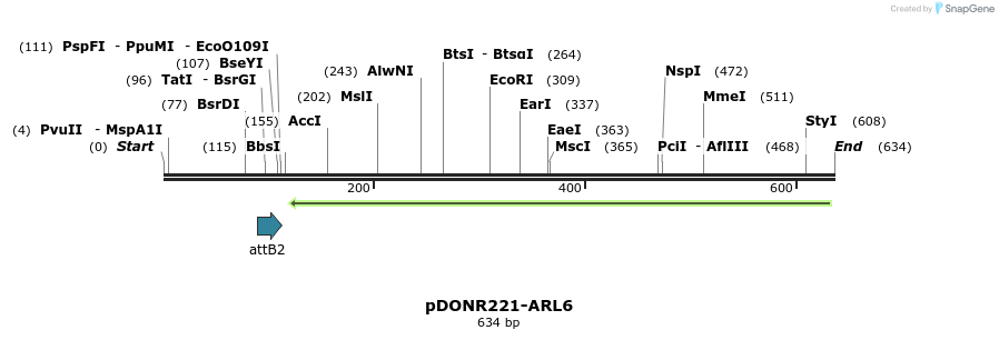 118864_map