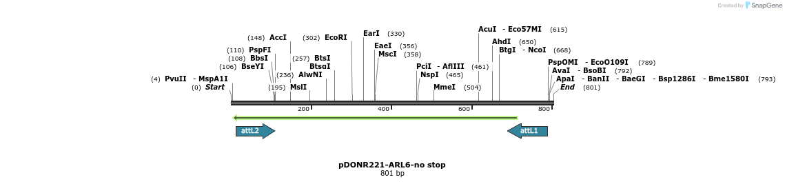118865_map