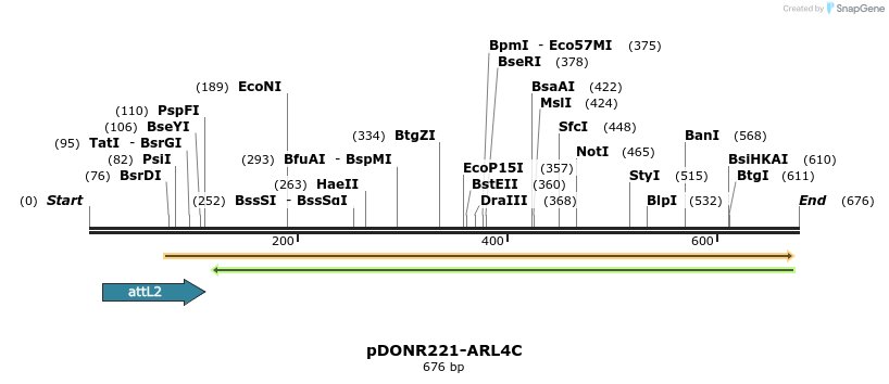 118866_map