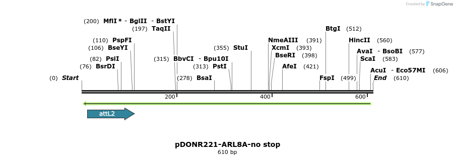 118872_map