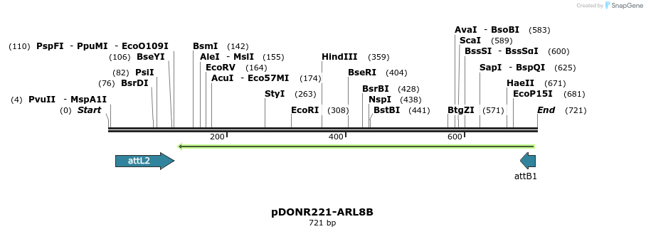 118874_map