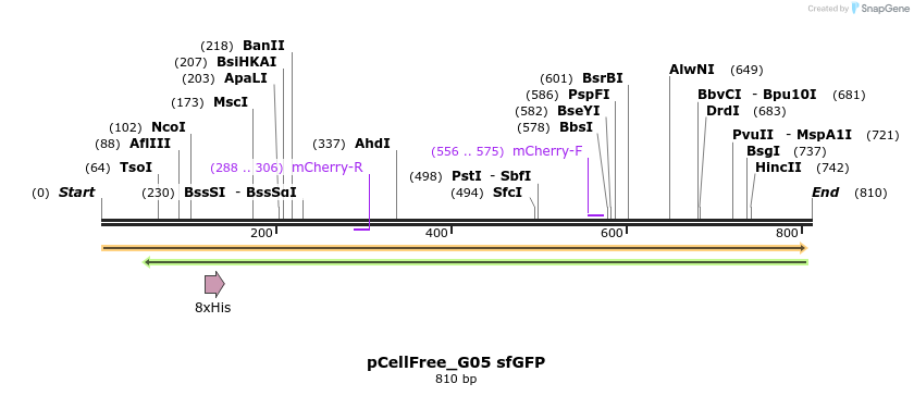 118879_map
