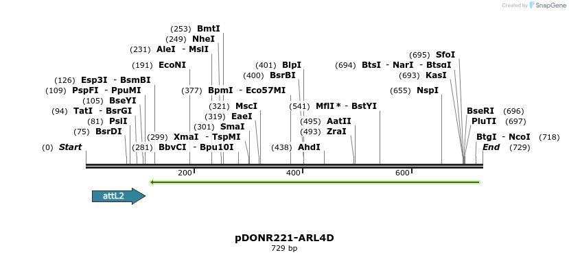 118880_map