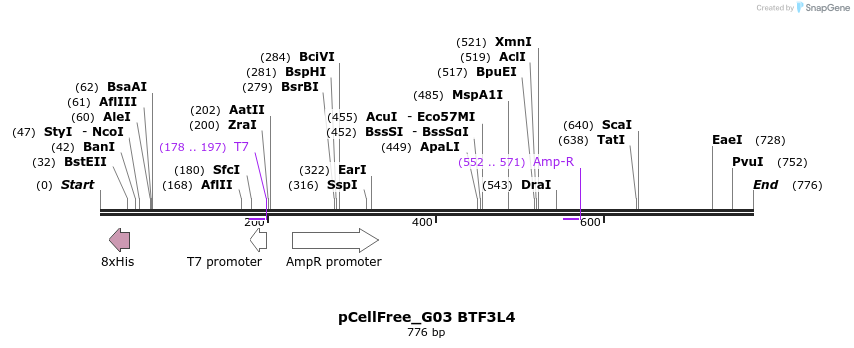 118881_map