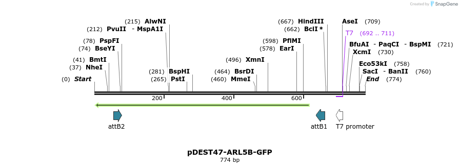 118896_map