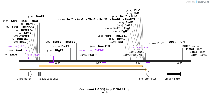 118915_map
