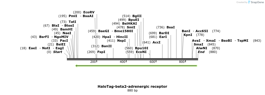 118933_map