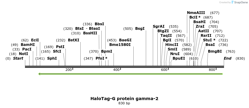 118942_map