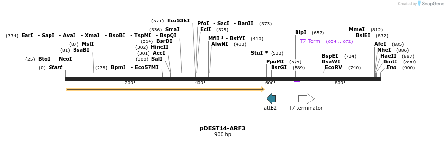 118948_map