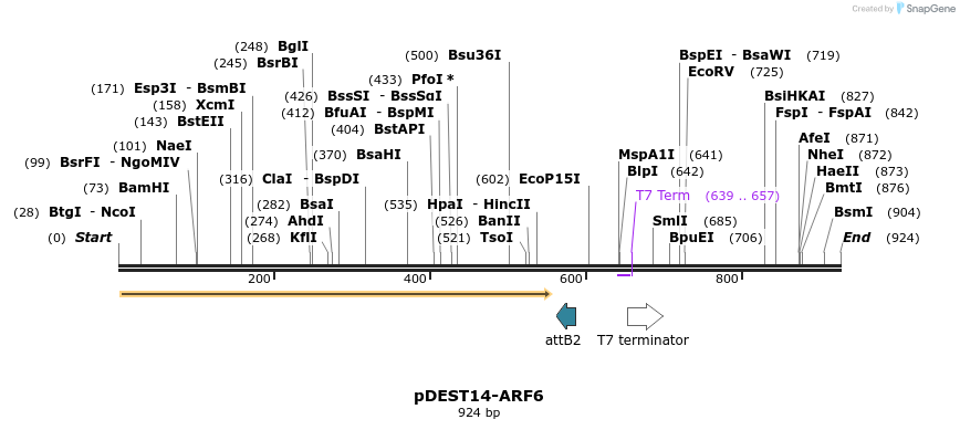 118953_map