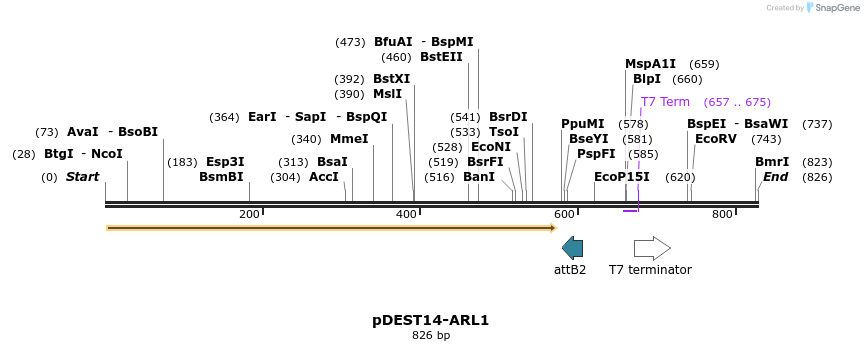 118954_map