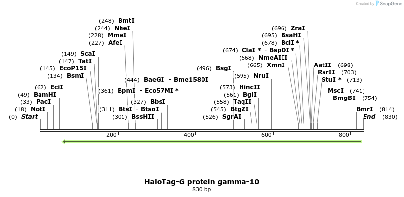 118957_map